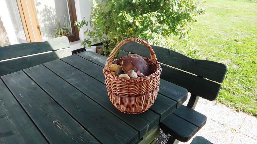 Prazdninovy Dum - Pacl Cervena Recice Villa Szoba fotó
