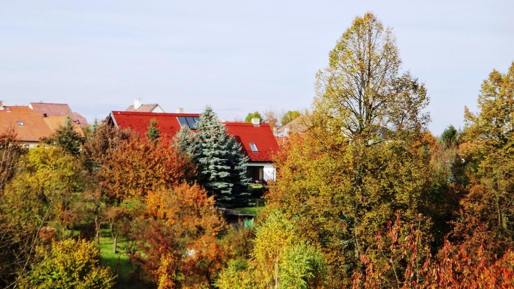 Prazdninovy Dum - Pacl Cervena Recice Villa Szoba fotó