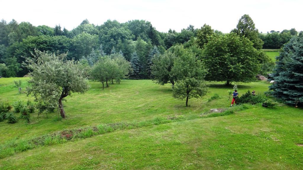 Prazdninovy Dum - Pacl Cervena Recice Villa Szoba fotó